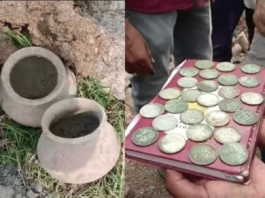 Silver coins from the Nizam era discovered in Karimnagar, Telangana