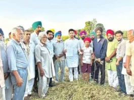 Chadha assesses crop damage in Punjab and requests compensation from Centre