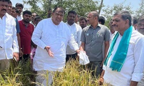 Farmers affected by rain in Nizamabad assured of assistance by Speaker Pocharam Srinivasa Reddy