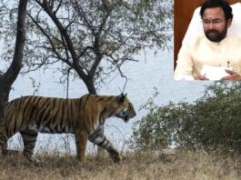 Kishan reports that funds for Project Tiger are being withheld by TS.