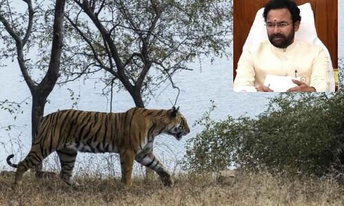 Kishan reports that funds for Project Tiger are being withheld by TS.