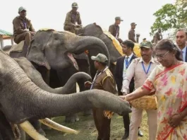 President Droupadi Murmu urges the public to show respect for elephant corridors.