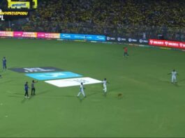 Stray Dog Causes Delay in CSK vs LSG Match at Chepauk, Amusing Players and Fans