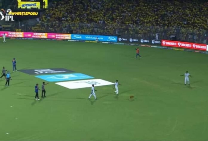 Stray Dog Causes Delay in CSK vs LSG Match at Chepauk, Amusing Players and Fans