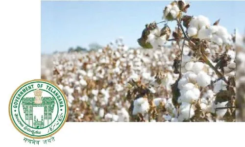 Telangana State Ranks Third in Cotton Production in India