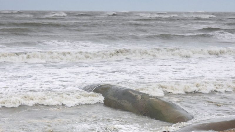 145 People Killed by Cyclone Mocha in Myanmar