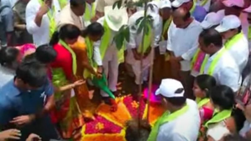 CM KCR | Chief Minister KCR launches greenery project with planting of one lakh saplings in Tummalluru