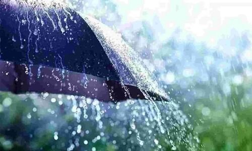 Districts of Telangana experience heavy to moderate rainfall.