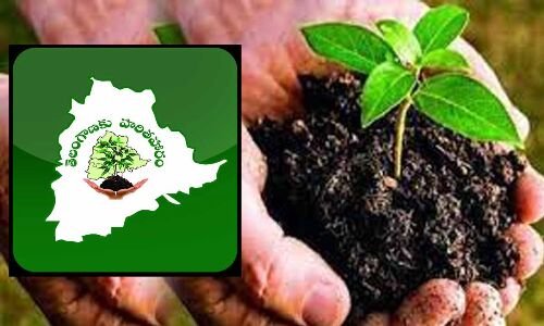 Forest cover and greenery on the rise due to Haritha Haram