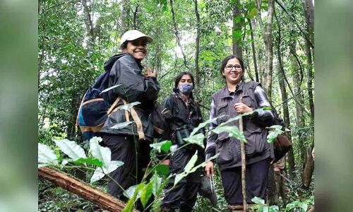 Researchers at CCMB in Hyderabad make predictions on genetic diversity in an ancient arthropod group.