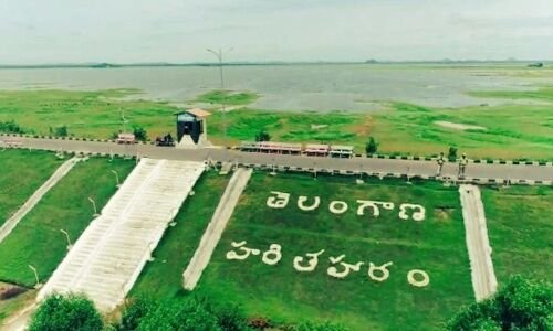 Telangana to begin Haritha Haram program from today.