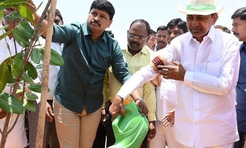 Under the Green India Challenge, KCR plants a sapling.