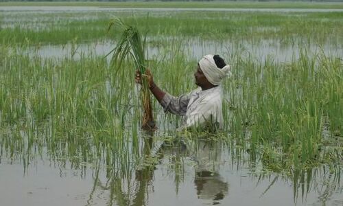 Agriculture Minister accuses Centre of neglecting flood-affected farmers