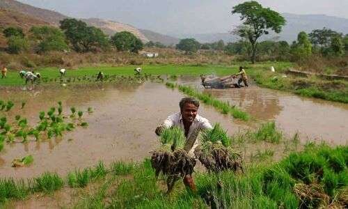 Farmers in Mahabubnagar anxious as rainfall falls below average