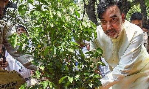 Fourth Van Mahotsav inaugurated by Delhi's Environment Minister