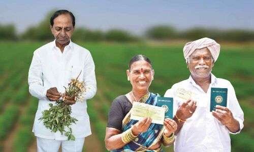 From Barren Land to Rice Bowl: Telangana Emerges as Nation's Key Rice Producer