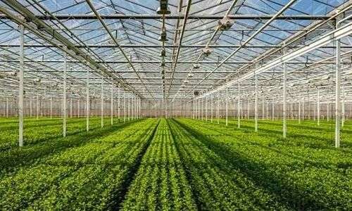 Israel's horticulture industry sets an example to follow