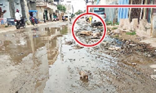 Residents of Jalpally in Rangareddy express anger towards substandard road construction