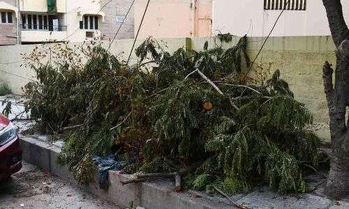 Tree debris still scattered around Hyderabad days after heavy rains