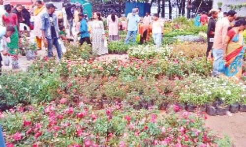 Hyderabad's Nursery Mela Reconnects People with Nature at Necklace Road