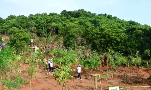 Sikharchandi Hill to be Transformed into Prominent Tourist Destination by Bhubaneswar Development Authority