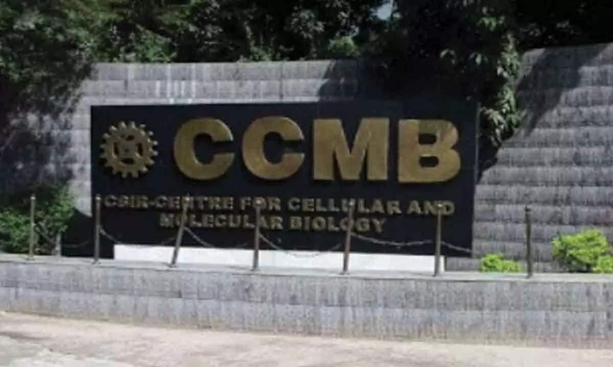 CCMB collaborates with International DEEP Project for global health initiative