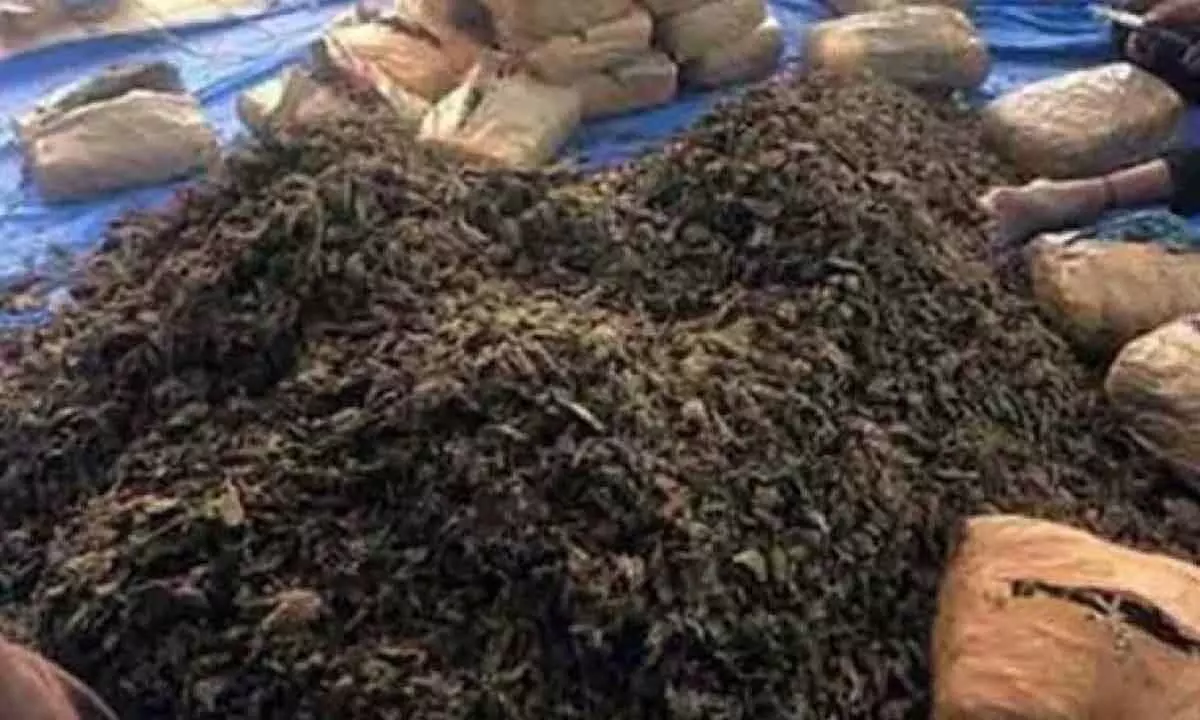 Man arrested in Hyderabad, 20 kg of ganja confiscated