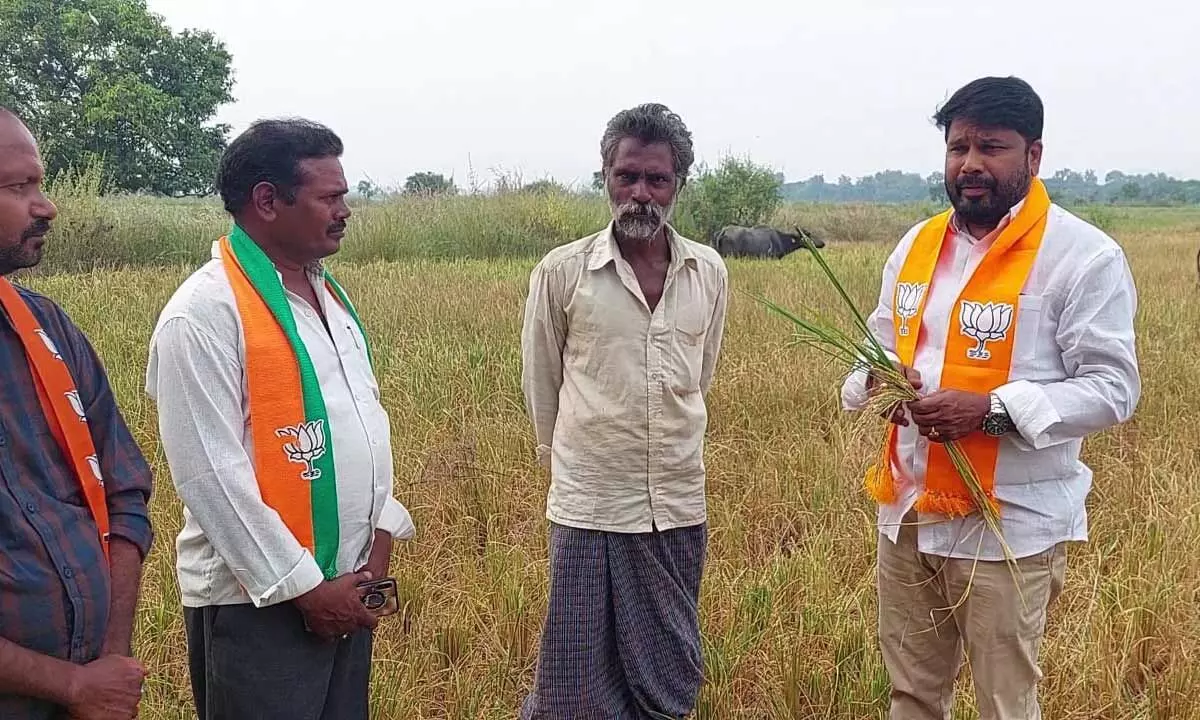 BJP calls for Rs 30,000 compensation for farmers