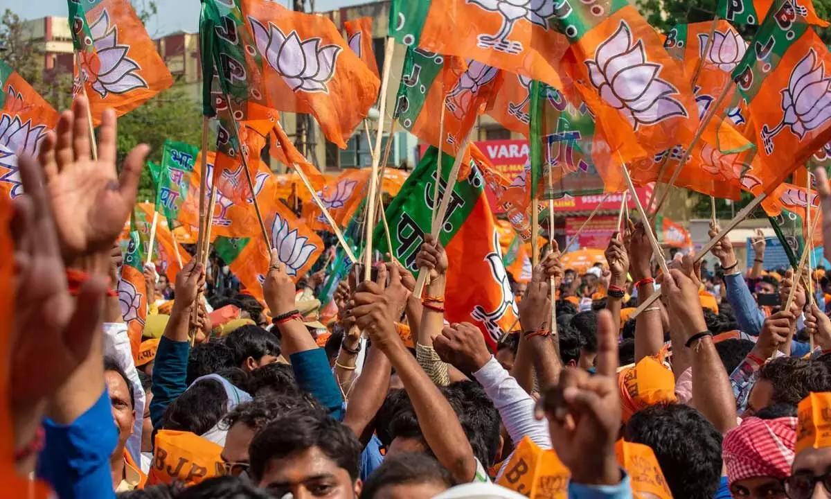 BJP defies expectations, secures eight seats with 13% vote share