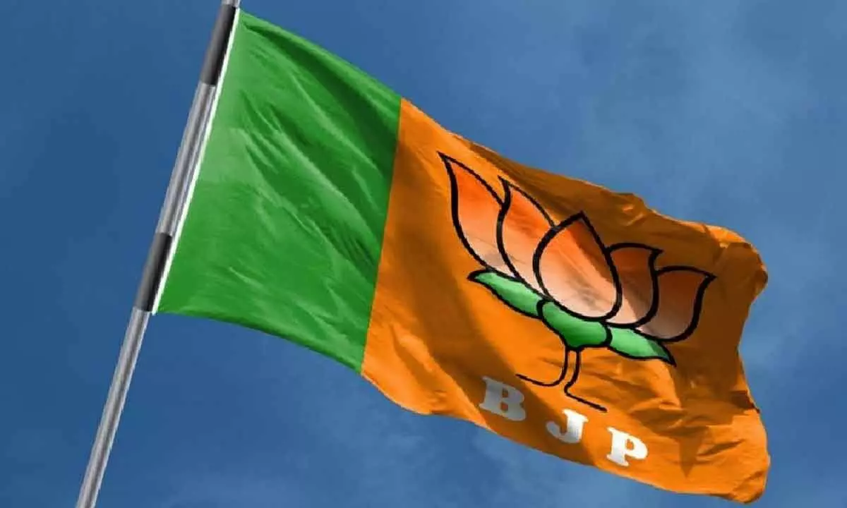 Divergent Opinions Emerge within BJP Regarding Election Results