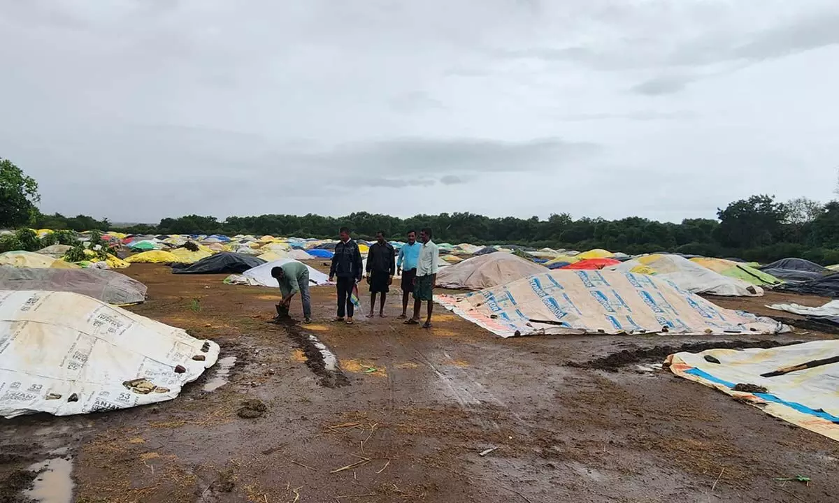 Khammam battered by Cyclone Michaung's torrential downpours