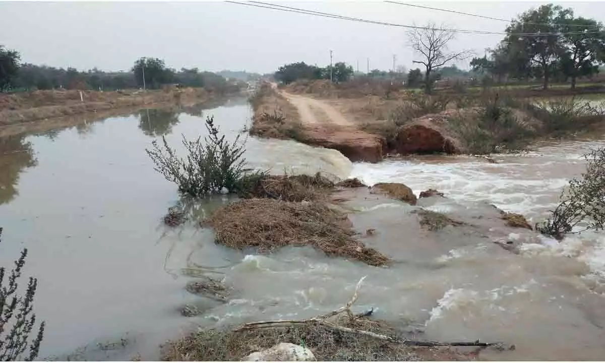 Crops in Yadagirigutta submerged by Godavari waters