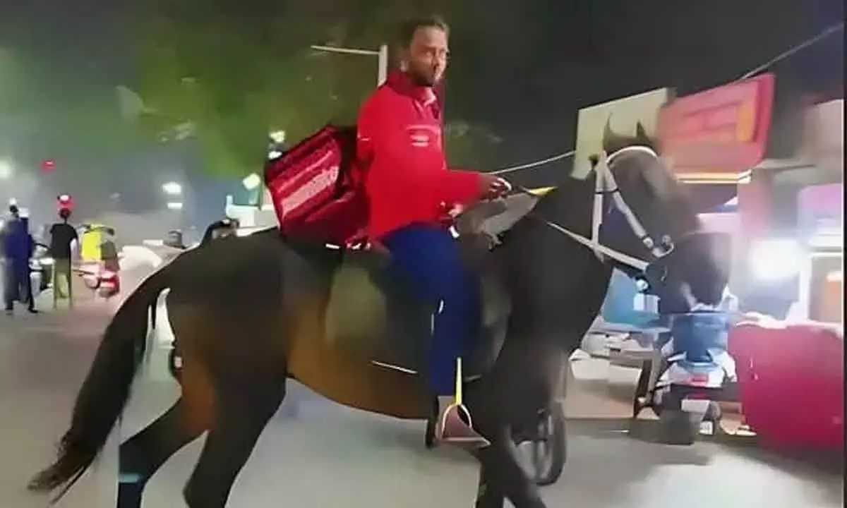 Zomato delivery rider in Hyderabad opts for horse to deliver food to customers