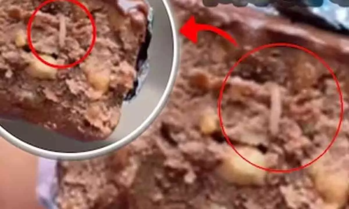 Cadbury chocolate stirs citizen frustration by containing a worm