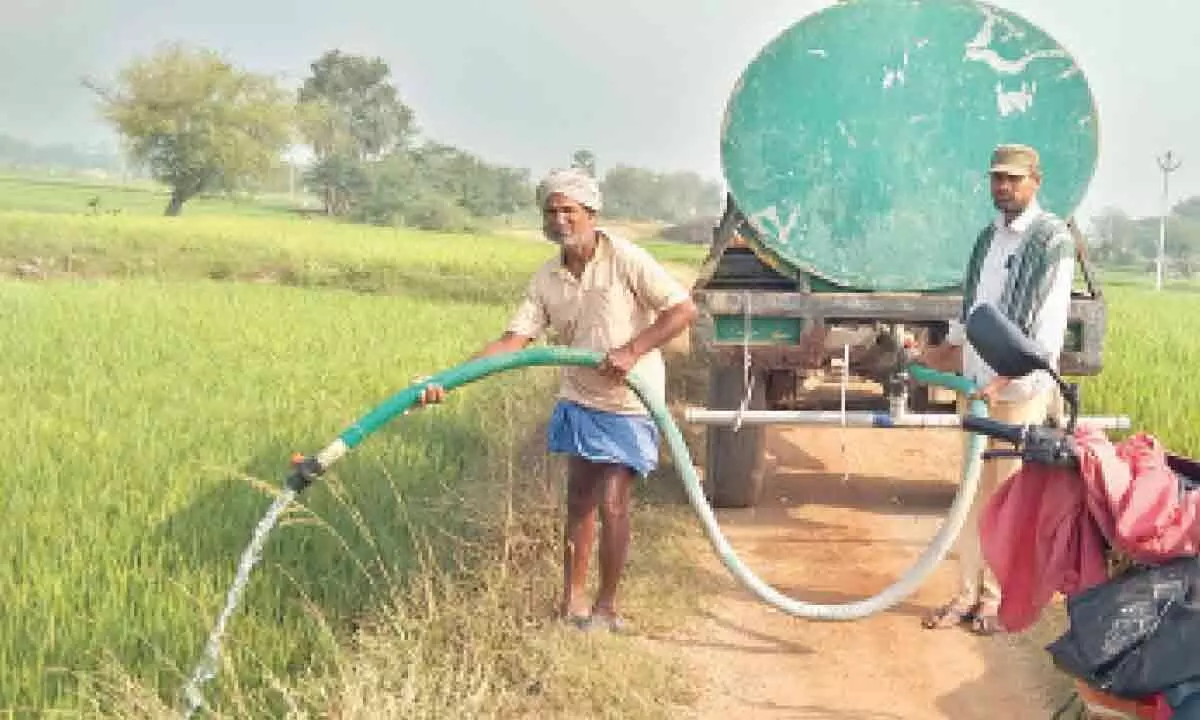 Crops in Chilukur are Already Withering Away in February