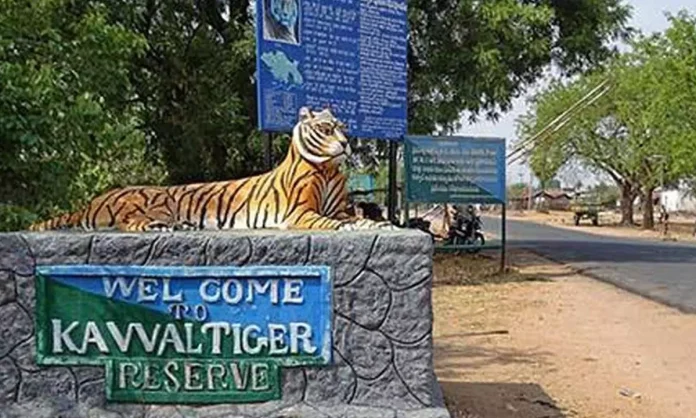 Evacuation of villages from Kawal Tiger Reserve accelerates