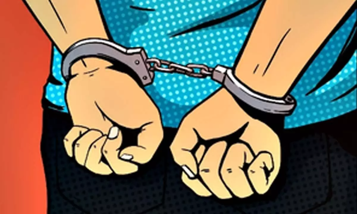 Fraudster apprehended by cybercrime police