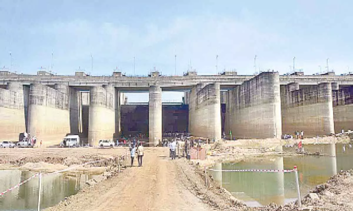 Government considers alternative strategies to protect crops in Godavari irrigation project area.