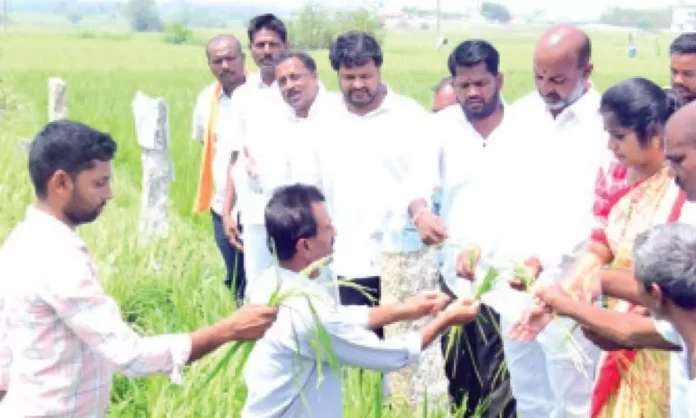 Bandi Sanjay surveys crops affected by damage