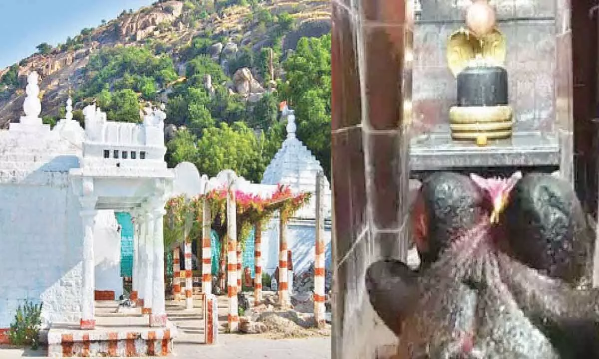 Temples echo with 'Om Namah Shivaya' on Maha Shivaratri