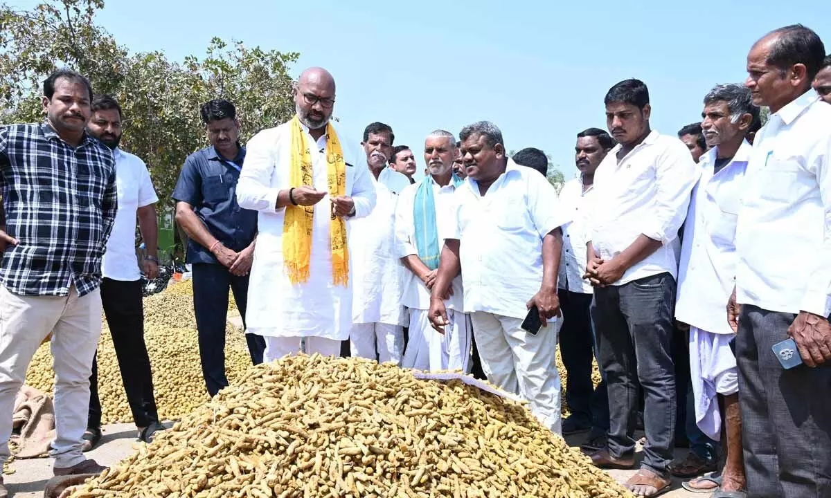 Turmeric farmers in Nizamabad rejoice as prices surge