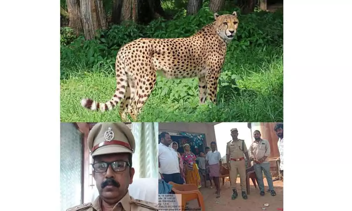 Villages on high alert for leopard movements, raising awareness with beat officers