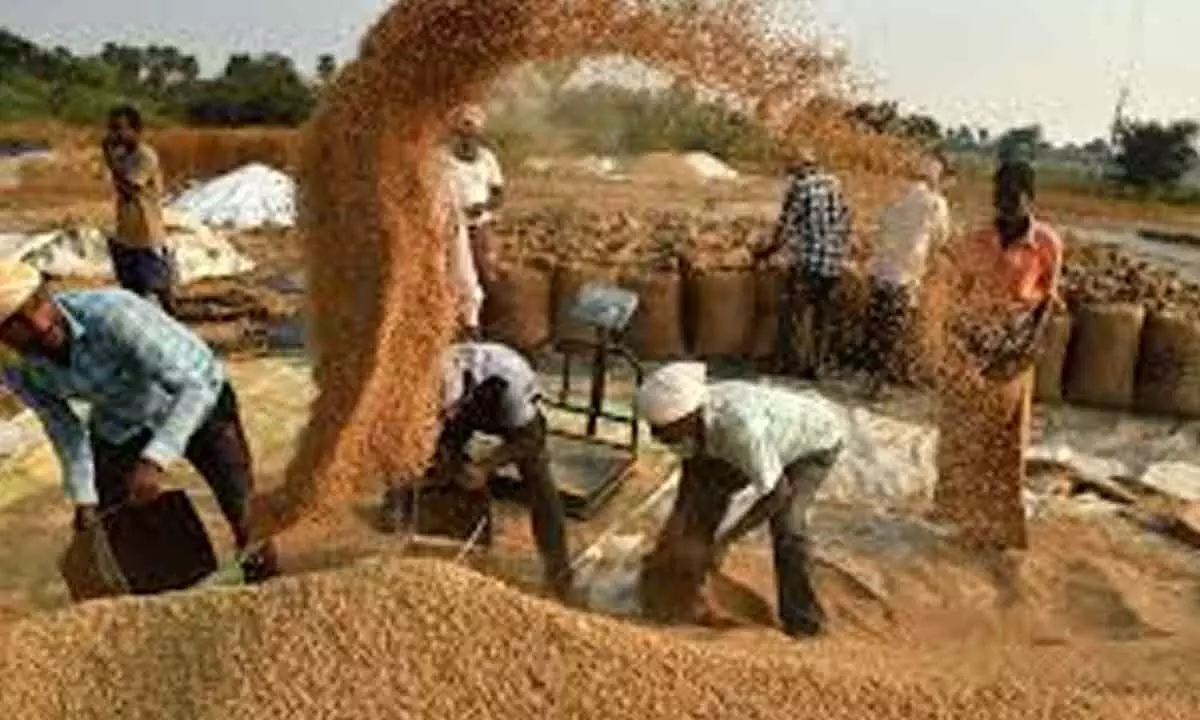 Civil Supplies Department to purchase more than 75 lakh metric tons of paddy