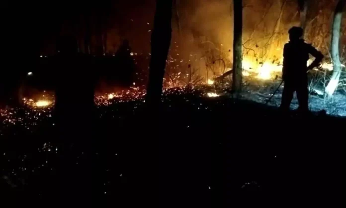 Forest department officials make efforts to put out fire in Nallamala forest