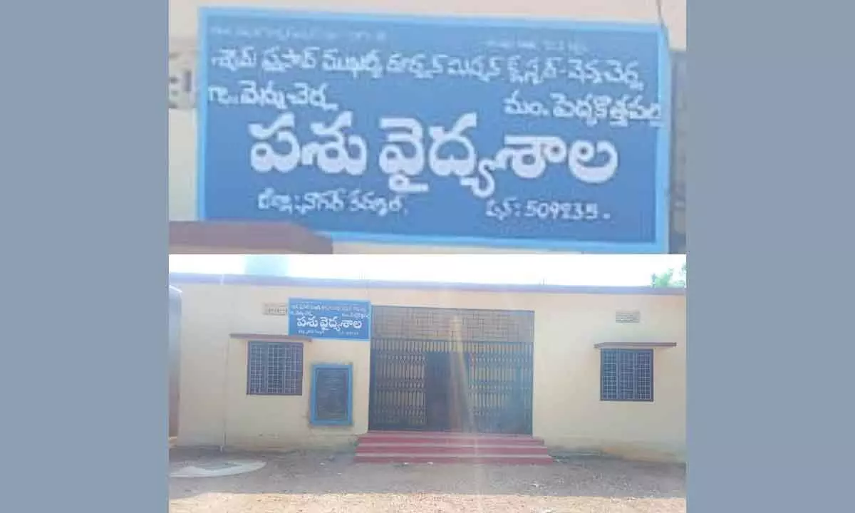 Veterinary clinic in Nagar Kurnool district shut down due to lack of staff.