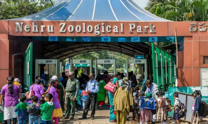25,000 visitors flock to Nehru Zoo Park in Hyderabad on Sunday