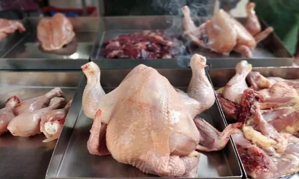 Consumers Shocked by Soaring Chicken Prices