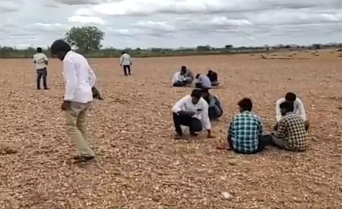 Farmers in Kurnool planting paddy, uncovering diamonds worth Rs 12-15 lakh each during harvest