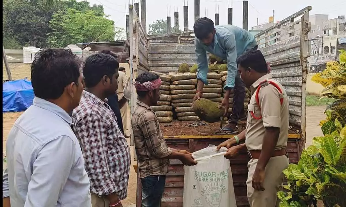 Large quantity of marijuana seized in Kothagudem district