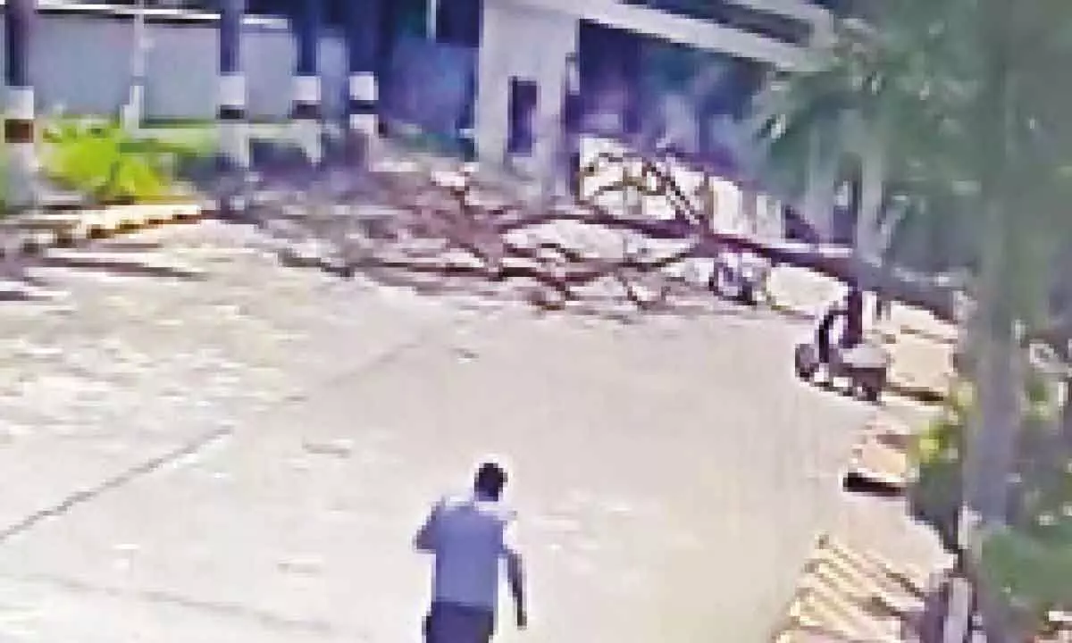 Man killed and wife injured by tree fall in Hyderabad